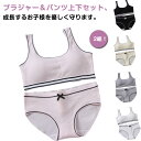 高校生 ジュニア リボン ショーツ ヨガ ジュニアブラジャー 上下セット ベストタイプ 学生 シンプル ノンワイヤー フィットネス 2組 中学生 スポーツブラ ...