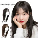 自然 人毛 人毛 総手植え 人毛100% ウィッグ 47cm フルウィッグ 自然茶 ウィッグ 自然黒 ミセス かつら 全頭かつら ブラック ブラウン ナチュラル