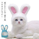 送料無料 もこもこ 帽子 年賀状 被り物 被り物 猫用 うさぎ 兎年 変身 なりきり マジックテープ 兎 犬用 ペット用 かわいい ウサギさん かぶりもの 耳付き 小型犬 中型犬 コスプレ 2023年 年賀状 お正月 卯年 干支 着ぐるみ