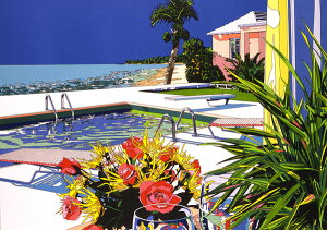  ڱѿ֥͡Хߥ塼θΤҤȤȤסʥΡޥ륨ǥ -AFTERNOON BREAK AT BERMUDA-1992ǯ ȥ ǲʹ ̵