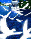 ◆ 鈴木英人「戯れあう翼」-LEAVING THE HARBOR- 2012年 EMグラフ 額付版画作品国内 送料無料
