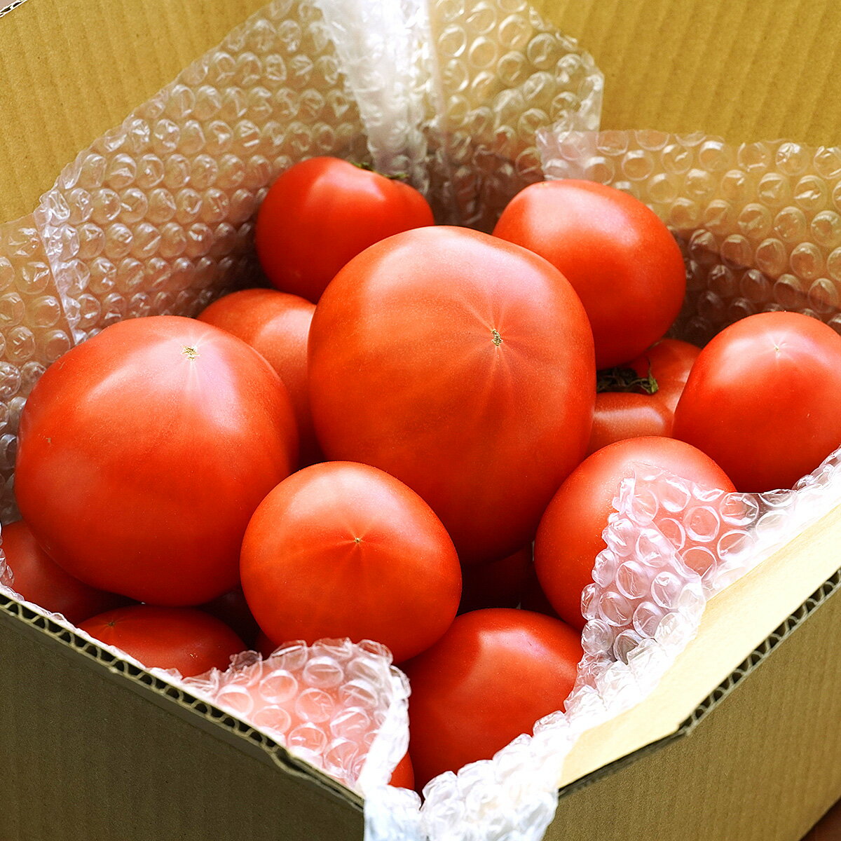 プレミアムトマト（ふぞろい）2kg 農薬不使用・化学肥料不使用