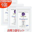 ルテイン&ブルーベリー メニーミックス【お得な3袋セット】60粒×3袋(3カ月分)送料無料!自然成分由来 野生種ブルーベリー/ビルベリー/サプリメント/ルテイン ビルベリー/ルテイン ブルーベリー/るていん