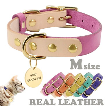 犬 猫 首輪 Mサイズ/S〜M : 本革 ゴールド金具 迷子札 名前入り かわいい おしゃれ 小型犬 中型犬 名札 電話番号入り 海外受注発注:約3〜4週間後発送予定