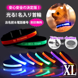 犬 光る 首輪 LED 名前入り【送料無料】XLサイズ／XS〜XL:光る首輪 LED ライト USB充電式 ボタン電池 夜光る 名入り 名入れ 安心 安全 充電式 迷子札 電話番号入り オーダーメイド かわいい おしゃれ 事故防止 迷子 小型犬 中型犬 大型犬