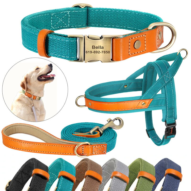 犬 首輪 ハーネス 名入れ リードセット 本革×ナイロンシリーズ XS〜L:かっこいい かわいい おしゃれ 名前入り ネーム入りワンタッチバックル ネームタグ ...