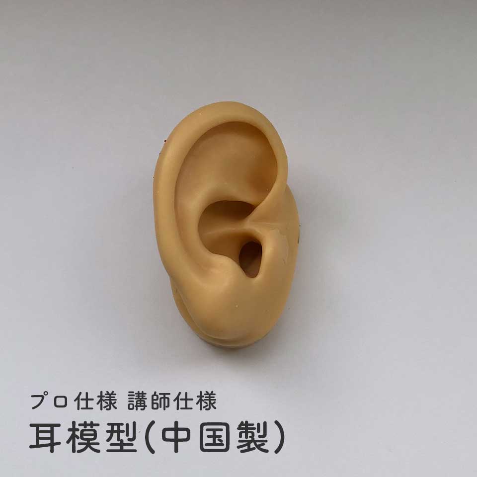 耳模型（中国製）