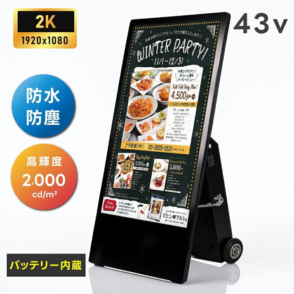 ǥ륵͡  43 ɿ 2000 ư ̳ ŻҴ ǥץ쥤 USB꡼  վǥץ쥤...