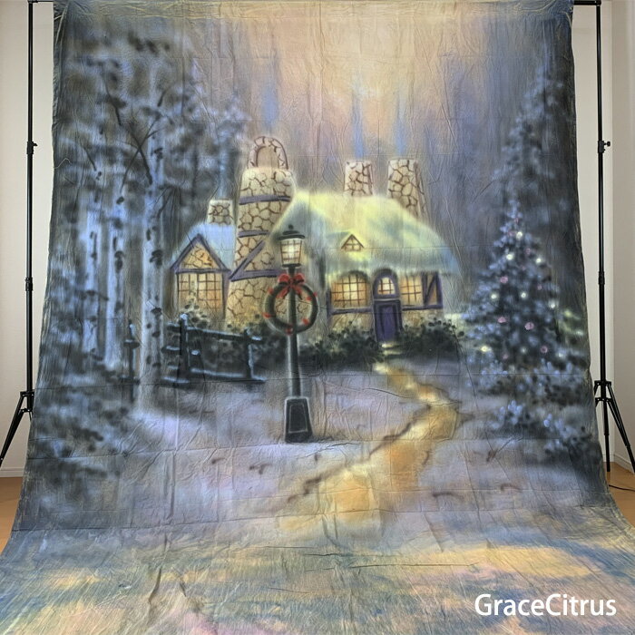 撮影用背景布 手描き クリスマス 布背景 約2.8m×6m 布バック スタジオ大型全身撮影用paintingcloth_ms-769