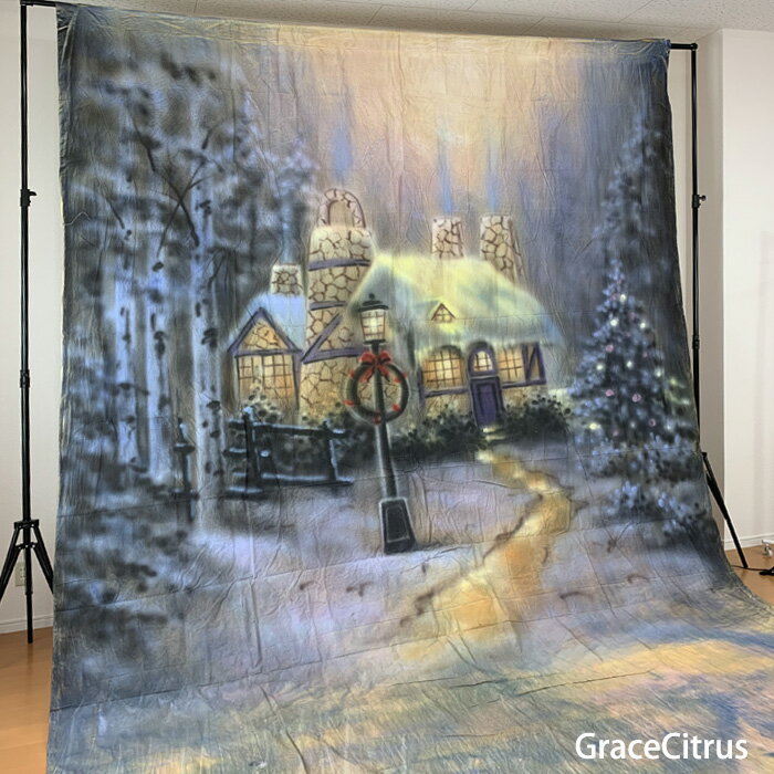 撮影用背景布 手描き クリスマス 布背景 約2.8m×6m 布バック スタジオ大型全身撮影用paintingcloth_ms-769