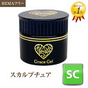 【アクリルパウダー】スカルプチュアパウダー クリア／クリアピンク 10g