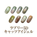 【ゆうパケット対象商品】角度によって変化するマグネットネイル！ラブリー5Dキャッツアイジェル4ml CAT5-30～CAT5-37