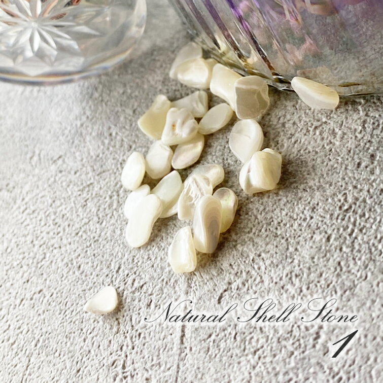 【ゆうパケット対象商品】ナチュラルシェルストー...の紹介画像2