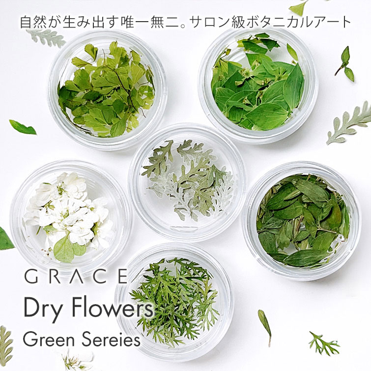 商品詳細 商品名 GRACE Dry Flowers Green Sereies 商品説明 自然が生み出す唯一無二。サロン級ボタニカルアート 種類 ユーフォルビア アジアンタム ブプレリウム タイム シルバーレース アキレア 広告文責 株式会社グレースガーデン 0120-102828 商品区分 雑貨 　
