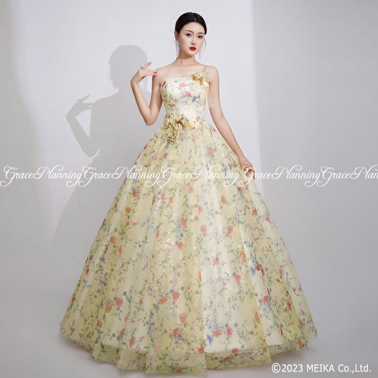 カラードレス 演奏会用ドレス 大人 ロングドレス ウエディング 二次会 結婚式 プリンセスライン( ベージュ 7号 9号 11号 13号 Sサイズ Mサイズ Lサイズ XLサイズ) 花柄プリント ガーデンウェディング 舞台衣装 ステージ 前撮り 後撮り (cd32148y-t)