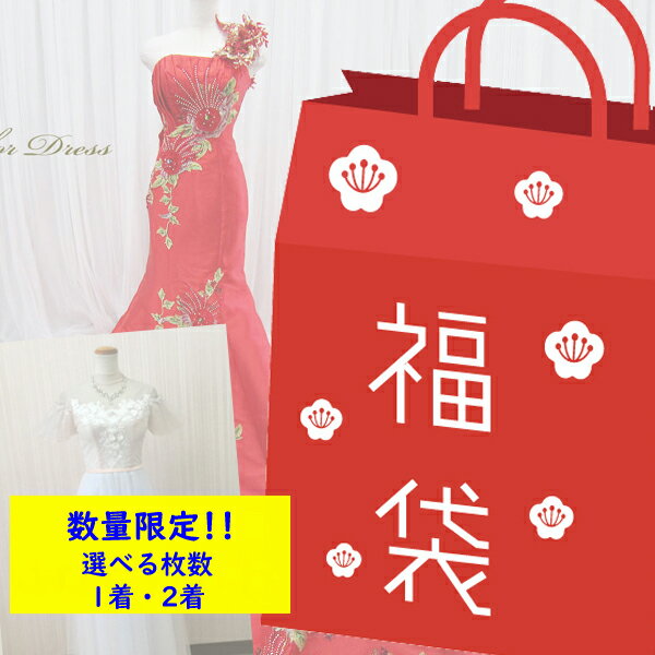 【福袋】カラードレス ドレス1点または2点セット 演奏会用ドレス ロングドレス パーティドレス7号 9号 Sサイズ Mサイズ 舞台衣装 ステージ衣装 アウトレッ...