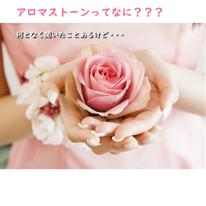 �����ޥ��ȡ��󡡥���ƥꥢ������ƥꥢ���ߡ����ߤ��ޤ���󡡥��ޡ����ˤ���������ա���ʪ