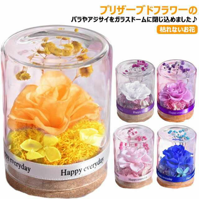 Hospital Visit - プリザーブドフラワー ガラスドーム ギフト 花束 バラ プレゼント 枯れないお花 ボトルフラワー プリザーブドフラワー 誕生日プレゼント お祝い 母の日 彼女 妻 プレゼント 誕生日 結婚祝い フラワー インテリア 縁起物 かわいい おしゃれ お見舞い