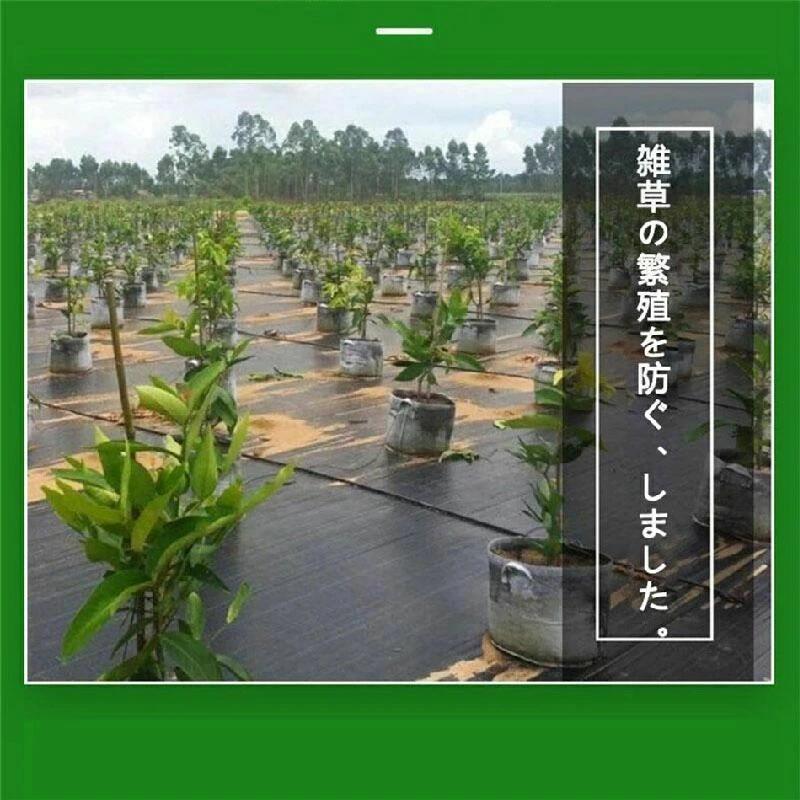 防草シート 農用シート 除草 雑草 芝生 草 抗菌剤入 耐用年数 約6-7年 砂利 芝 人...
