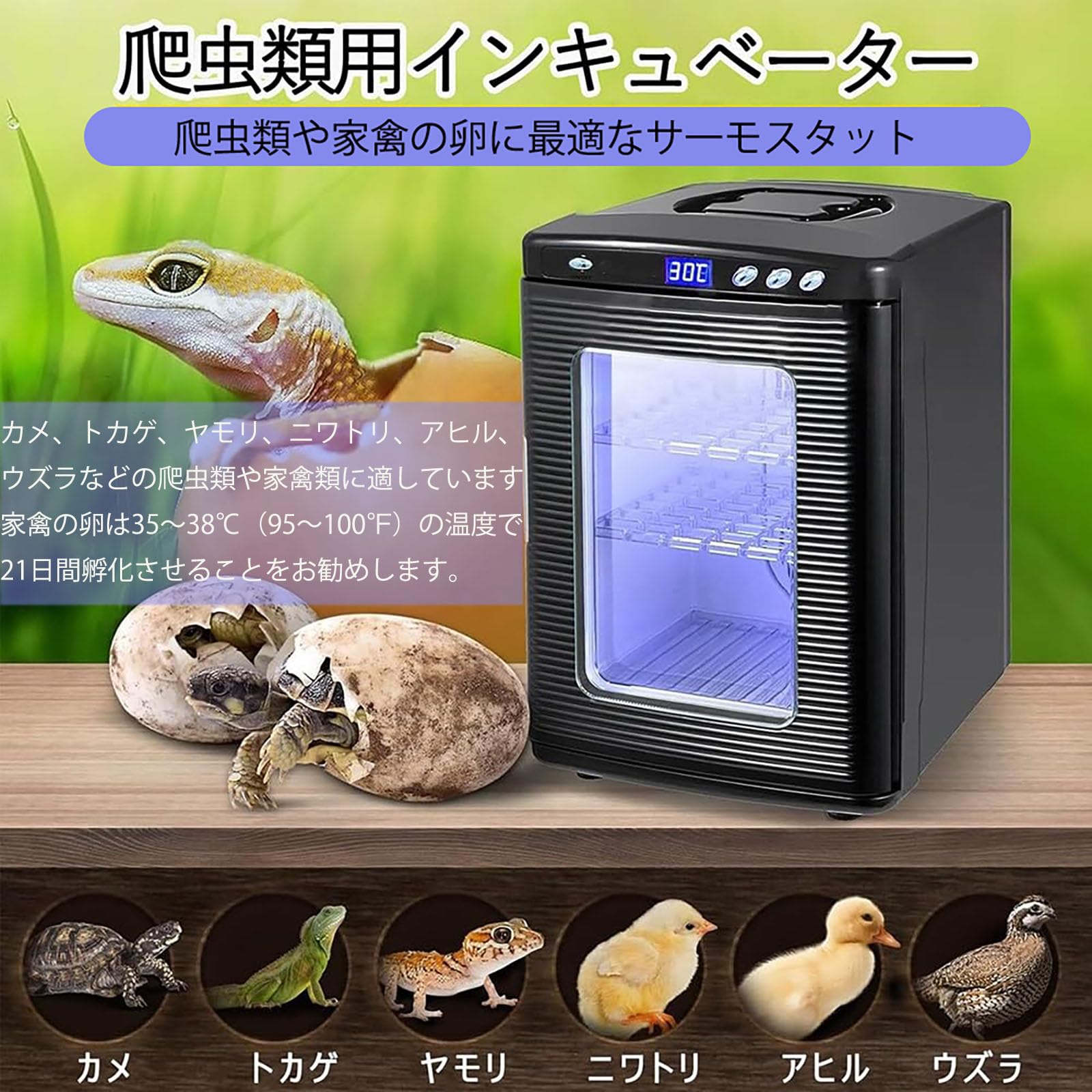 Grace Selectの25L 自動孵卵器 30-40枚入卵OK 冷却・加熱 5〜60°調節 爬虫・両生類飼育ボックス 科学実験室用 子供教育用 カメ/トカゲ/カメレオン/昆虫卵繁殖孵化用｜アングル2