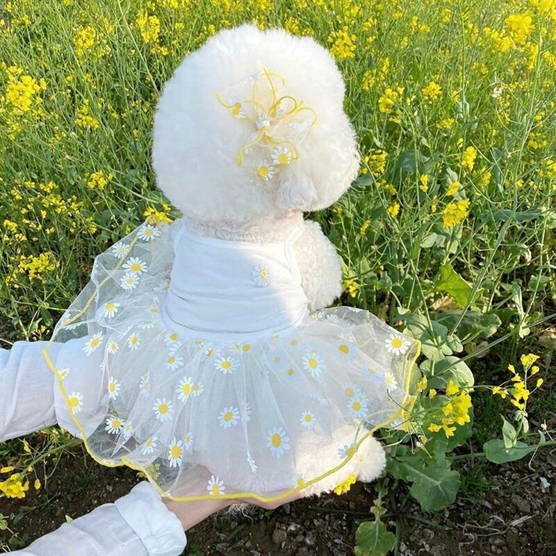 猫服 犬服 ペット服 さわやか ペットウェア イチゴ柄 ペット用スカート リボン付き レースデザイン 犬用 おしゃれキャミソール 透け感 ワンピース お散歩 女の子用 メール便OK 小型犬用ファッション