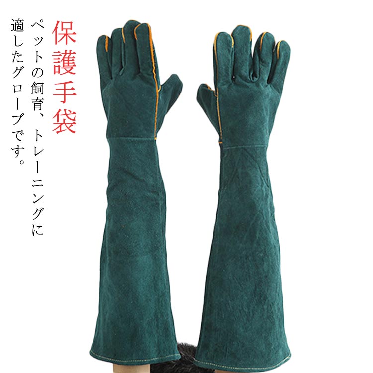 ペットの飼育、トレーニングに適したグローブです。長さ60cmの厚手の牛革製ですので、爪や牙からの引っ掻きや噛みつきから腕全体をしっかり保護できます。ペットトレーナー、獣医師、動物管理、ペットショップ等のスタッフに適します。ペット（犬、猫、爬虫類等）からの引っ掻き、噛みつき対応に優れています。害獣駆除にもご利用ください。ガーデニングや除草作業にもお使いいただけます。※牛革製の為、革臭がすることがございます。 サイズ全長60cmサイズについての説明【サイズ】全長60cm 重量650g素材牛革色グリーン備考 ●サイズ詳細等の測り方はスタッフ間で統一、徹底はしておりますが、実寸は商品によって若干の誤差(1cm〜3cm )がある場合がございますので、予めご了承ください。●製造ロットにより、細部形状の違いや、同色でも色味に多少の誤差が生じます。●パッケージは改良のため予告なく仕様を変更する場合があります。▼商品の色は、撮影時の光や、お客様のモニターの色具合などにより、実際の商品と異なる場合がございます。あらかじめ、ご了承ください。▼生地の特性上、やや匂いが強く感じられるものもございます。数日のご使用や陰干しなどで気になる匂いはほとんど感じられなくなります。▼同じ商品でも生産時期により形やサイズ、カラーに多少の誤差が生じる場合もございます。▼