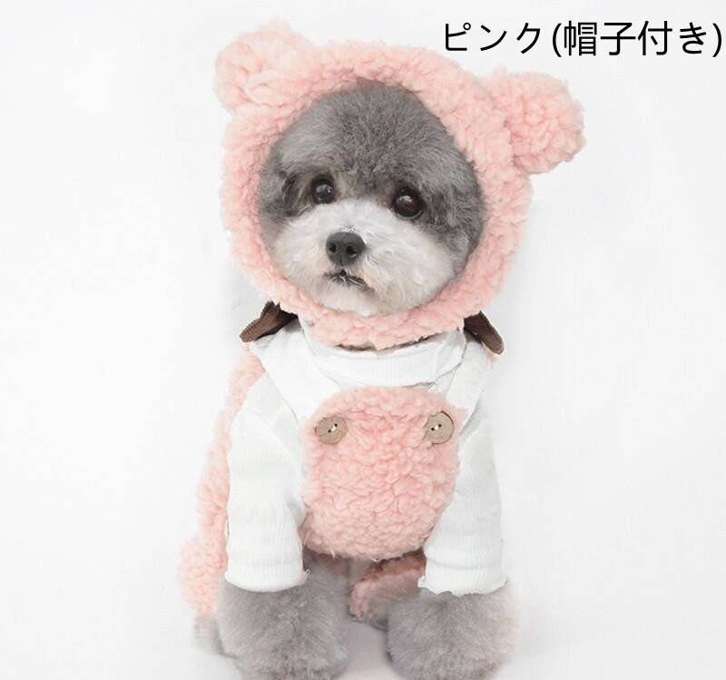 ●商品の色は、撮影時の光や、お客様のモニターの色具合などにより、実際の商品と異なる場合がございます。あらかじめ、ごください。 ●製品によっては、生地の特性上、洗濯時に縮む場合がございますので洗濯時はご注意下さいませ。 ▼色味の強い製品によっては他の衣類などに色移りする場合もございますので、速やかに（脱水、乾燥等）するようにお願いいたします。 ▼生地によっては摩擦や汗、雨などで濡れた時は、他の製品に移染する恐れがございますので、着用の際はご注意下さい。 ▼生地の特性上、やや匂いが強く感じられるものもございます。数日のご使用や陰干しなどで気になる匂いはほとんど感じられなくなります。