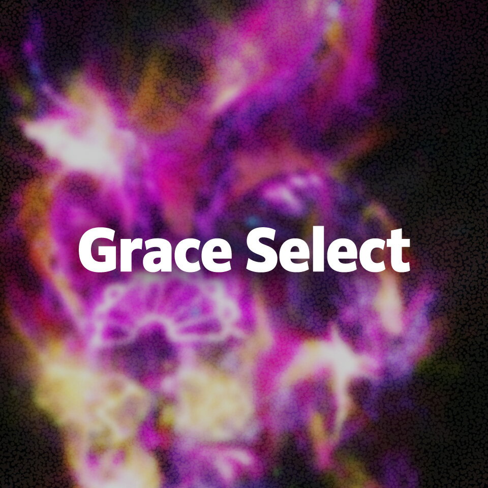 graceselect327（楽天市場）の店舗ロゴ