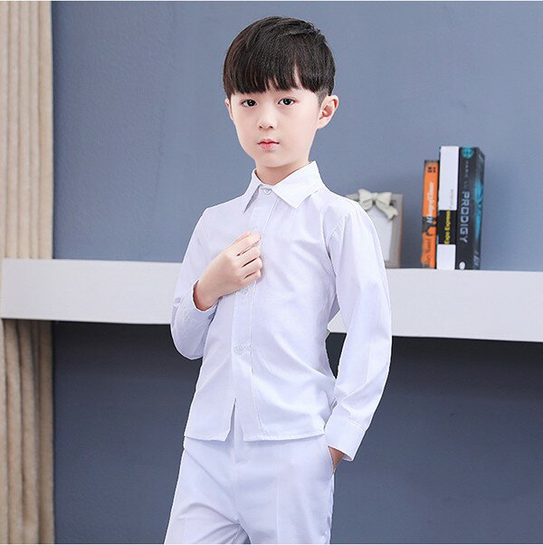 �ڥ�����ͭ100��170�ۥ���� Ĺµ ûµ ���å������ �ˤλ� ���� ������ �Ҷ� �Ҷ��� �򥷥�� �ۥ磻�� eh103jc