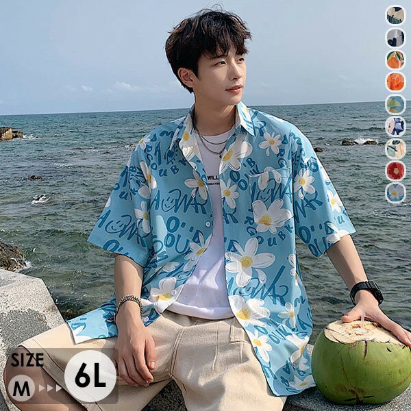 ϥ åȥå ˽ѥϥ ʪ 礭 5L 6L ·  ǥ  ڥ ץǥ ϥ磻 ...