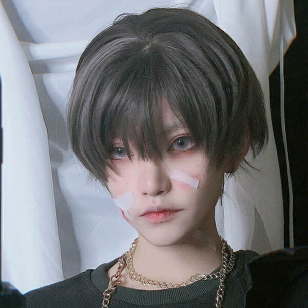 ウィッグ メンズ 短髪 かつら 超自然 フルウィッグ コスプレ おしゃれ 男装 可愛い ショート 耐熱ウィッグ グレー 小顔効果抜群 コスチューム ハロウィン イベント 文化祭 学園祭 韓国ファッション dp054n1