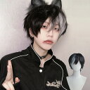 ウィッグ メンズ 短髪 かつら 自然 フルウィッグ ショートウィッグ ショートヘア 前髪あり コスプレ 男装 おしゃれ ナチュラル かっこいい 可愛い ショート...