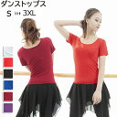 社交ダンス トップス ダンストップス ダンスウェア ダンス 衣装 ダンス 衣装 ダンス用ブラウス ストレッチ着 ステージ衣装 舞台 社交ダンス衣装 半袖 大きい...