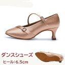 ダンスシューズ レディース ストラップ つま先あり 室内 社交ダンスシューズ モダン ラテン 大きいサイズ ダンス パンプス 練習用 発表会 イベント 美脚 舞...