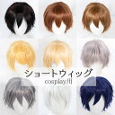 ウィッグ メンズ 短髪 コスプレ cosplay 男装 かつら 自然 フルウィッグ ショートウィッグ ショートヘア 前髪あり おしゃれ 小顔効果抜群 コスチュー...