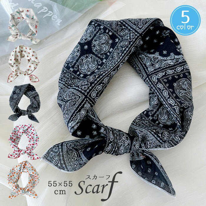 �������� ��ǥ����� 55��55cm ������ ������ �ڥ����꡼�� ���� �����꡼�� ���ե����� ���� ���� �� �إ������� �Х���� �Хå� ����� ����...