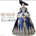帽子付き 中世風ドレス 貴族 ドレス お姫様 ネイビー ロングドレス カラードレス 豪華 ステージ衣装 舞台衣装 王族服 オペラ 声楽 学園祭 文化祭 ハロウィ...
