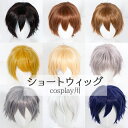 ウィッグ メンズ 短髪 コスプレ cosplay 男装 かつら 自然 フルウィッグ ショートウィッグ ショートヘア 前髪あり おしゃれ 小顔効果抜群 コスチュー...