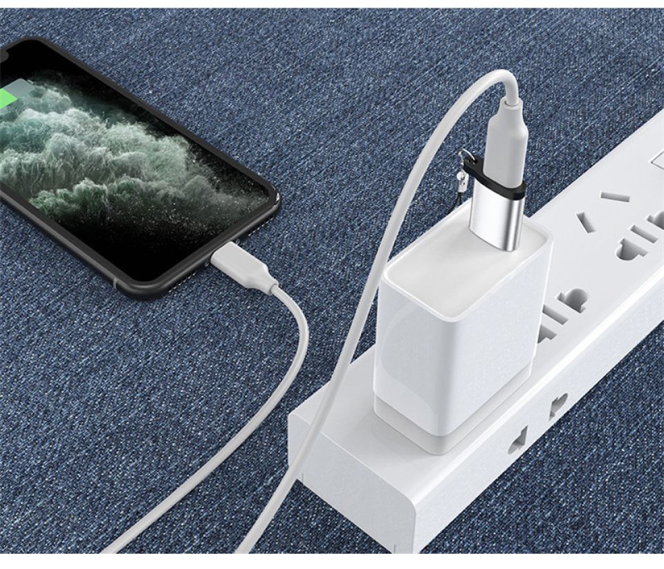 タイプC 変換アダプター iphone Type-C usb to type-c 便利 コンパクト 小型 変換 アダプタ 在宅 テレワーク 車内テレワーク 落下 紛失 防止 TypeC-USB 変換アダプター Bタイプ ストラップ付き 全4色 CE-TCUSB2 ネコポス