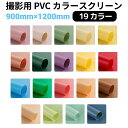 写真 撮影 背景 撮影用 スクリーン PVCカラースクリーン 【サイズ90×120cm 全19カラー】 NSS-90120-COL | 背景布 写真撮影 商品撮影 バック シート 物撮り ささげ ささげ業務 撮影ブース フォト フォトスタジオ スタジオ PVC 汚れに強い シワにならない(2)