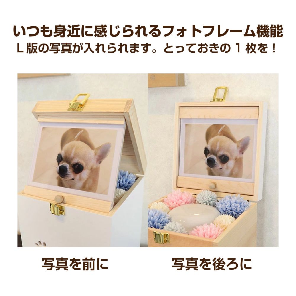 �ߥॴ Angel box ŷ�ȤΥܥå�����ʩ�� 2���顼 AB-521 | ʩ�� �ڥå�ʩ�� �ڥå� ���� ʩ�� �ץ졼�� ��� �����Ǽ ���ꥢ��ܥå��� �̿� �ڥå��� �ܥå����� ���� ����