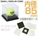 テニスボールの展示に最適なショーケース CZ-SBC02 | サインボールケース サインボール ケース テニス ディスプレイケース アクリル tennis ボール ボールケース 記念 サイン 保管 保存 展示 飾り スタンド サイン球