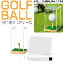 ゴルフボールの展示に最適なショーケース CZ-SBC03 | ゴルフ GOLF ゴルフコンペ コンペ 景品 ディスプレイケース アクリル サインボールケース サインボール ケース ボール ボールケース 記念 サイン 保管 保存 展示 飾り スタンド ホールインワン