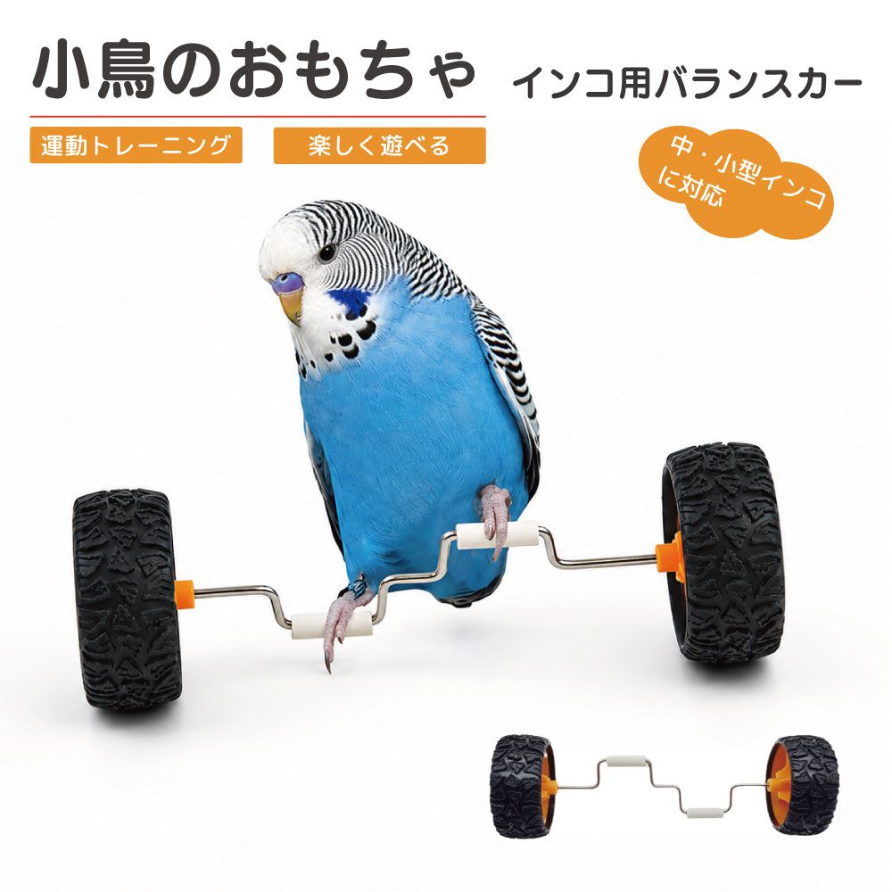 商品詳細 　 　 特徴 　　 中・小型インコ向けのバランスカーおもちゃです。 遊びながら運動トレーニングができる設計で、バランス感覚を楽しくサポートする小鳥用おもちゃ。 ゴム製タイヤで滑りにくく、ステンレス製ステップ＋PPチューブカバー付きで足を掛けやすい仕様です。 セキセイインコ、ボタンインコ、オカメインコ、ウロコインコなどにおすすめです。 　　 　 　 　 品番 　　PET-BD006 　 　 　 商品名 　　インコ用 バランスカー 　 　 　 サイズ 　　14cm×4.3cm 　 　 　 数量 　　1個 　 　 　 注意事項 　　 ※商品サイズをよくご確認の上ご注文くださいませ。 ※デザイン又は仕様の一部が予告なく変更となる場合がございますのでご了承ください。 ※ご使用の機器やモニターによって実際の商品と色味が異なる場合がございます。予めご了承ください。 　　 　 　 　 キーワード 　　インコ玩具 インコ用 インコ用おもちゃ インコ用バランスカー インコ用バランスカーおもちゃ ウロコインコ オカメインコ おもちゃ ゴム ゴムタイヤ ゴムタイヤ付きで滑りにくい ゴム製タイヤ コンパクト ステンレス ステンレスステップ ステンレス製ステップ ストレス解消 スムーズに動く セキセイインコ ちょこんと乗って楽しく遊べる トレーニング玩具 バードトイ バランスが取りやすい バランストレーニング バランストレーニング玩具 バランス遊び バランス遊びにおすすめ ペットトイ ペット用品 ボタンインコ マメルリハ マメルリハ向け 運動トレーニング 運動不足解消 楽しく遊べる 滑りにくい 軽量 室内遊び 小型鳥 小鳥 小鳥のおもちゃ 小鳥のトレーニング玩具 小鳥玩具 小鳥用 足腰トレーニング 体幹トレーニング 耐摩耗 退屈防止 知育おもちゃ 中型鳥 中小型インコ 中小型インコ対応 鳥グッズ 鳥用 鳥用おもちゃ 放鳥 放鳥グッズ 放鳥タイム向け 放鳥時おもちゃ 　 【メール便ご希望の場合は必ずご確認ください】 ■ご注文前にこちらからメール便の注意事項をよくご確認ください。 ■メール便（定形郵便）商品と同時に注文いただいた場合、配送方法にシステム上「宅配便」と 　表示されますが、ネコポスにて発送されます。商品詳細 　 　 特徴 　　 中・小型インコ向けのバランスカーおもちゃです。 遊びながら運動トレーニングができる設計で、バランス感覚を楽しくサポートする小鳥用おもちゃ。 ゴム製タイヤで滑りにくく、ステンレス製ステップ＋PPチューブカバー付きで足を掛けやすい仕様です。 セキセイインコ、ボタンインコ、オカメインコ、ウロコインコなどにおすすめです。 　　 　 　 　 品番 　　PET-BD006 　 　 　 商品名 　　インコ用 バランスカー 　 　 　 サイズ 　　14cm×4.3cm 　 　 　 数量 　　1個 　 　 　 注意事項 　　 ※商品サイズをよくご確認の上ご注文くださいませ。 ※デザイン又は仕様の一部が予告なく変更となる場合がございますのでご了承ください。 ※ご使用の機器やモニターによって実際の商品と色味が異なる場合がございます。予めご了承ください。 　　 　