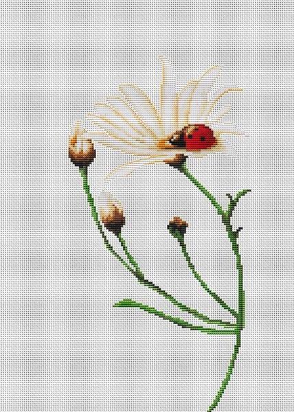樂天商城 - クロスステッチ 刺繍キット ルーカス Luca-S コミュニケーション 18ct 花 植物 クロスステッチキット ししゅう 刺繍