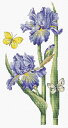 メール便送料無料 クロスステッチ 刺繍キット ルーカス Luca-S 5月のアイリス 16ct 花 蝶々 クロスステッチキット ししゅう 刺繍