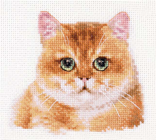 樂天商城 - クロスステッチ 刺繍キット アリサ ALISA プラッシュキャット クロスステッチキット クロスステッチ ししゅう 刺繍