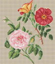 メール便送料無料 クロスステッチ 刺繍キット Creative World Of Crafts Copper & Virgin Rose/コッパー&バージンロー...