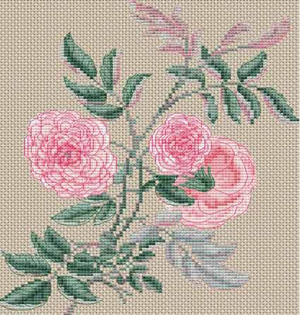 ᡼̵ ƥå ɽå Creative World Of Crafts Rosa Gracilis 14ct...