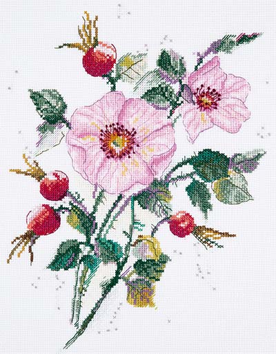 クロスステッチ 刺繍キット PANNA パンナ 五月のワイルドローズ 16ct 植物 クロスステッチキット ししゅう 刺繍